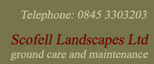 Scofell Landscapes Ltd: Grounds maintenance, landscaping and tree surgery for commercial and private clients in the Thames Valley, Berkshire, Hampshire, Wiltshire and Oxfordshire inc Newbury, Hungerford, Swindon, Reading, Basingstoke, Oxford, Cirencester & Marlborough