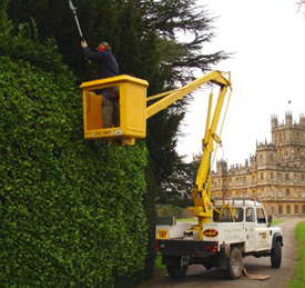Cherry Picker Operator