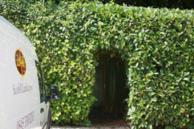 Hotel Grounds Maintenance, landscaping and tree surgery for commercial and private clients in the Thames Valley, Berkshire, Hampshire, Wiltshire and Oxfordshire