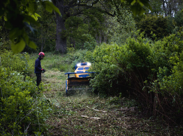 Clearing of vegetation to make way for rejuvenating an area to create wildflower