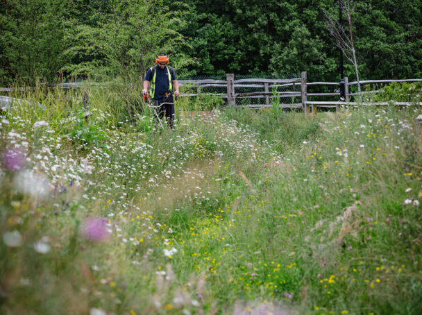 Grass strimming