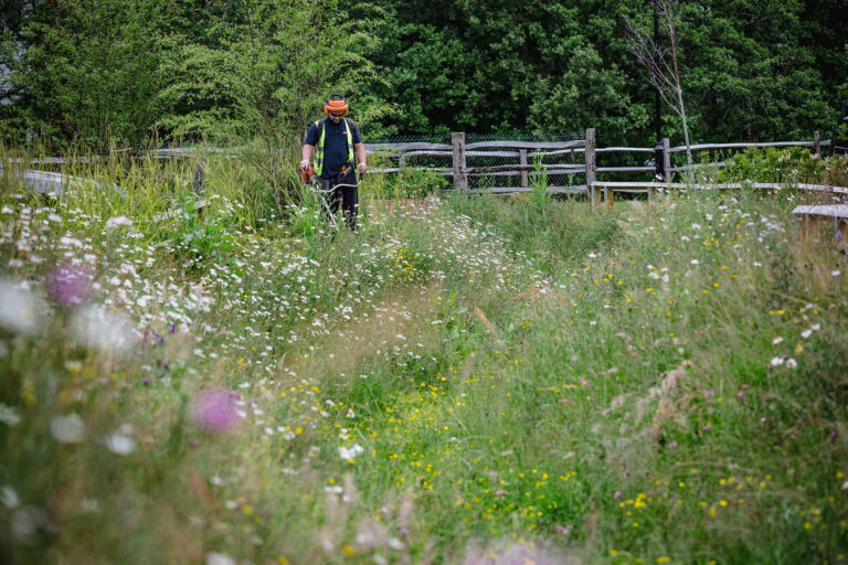 Grass strimming