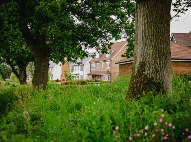 Landscaping