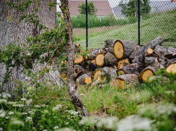 Tree surgery