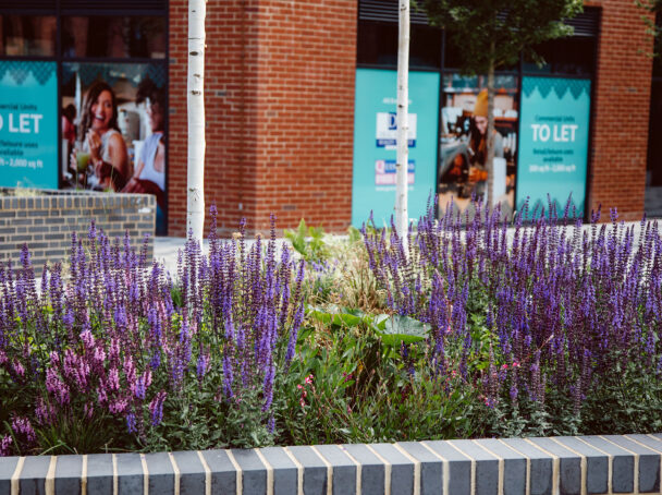 Delivering planting scheme to residential project in heart of a town