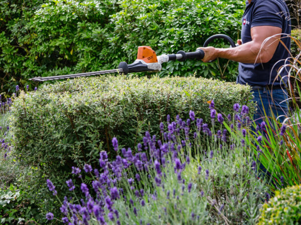 Hedge cutting