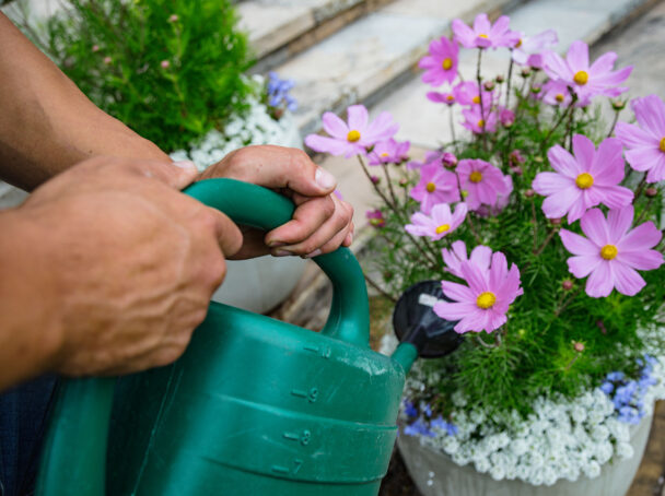 Grounds maintenance