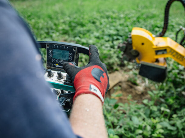 Stump grinding