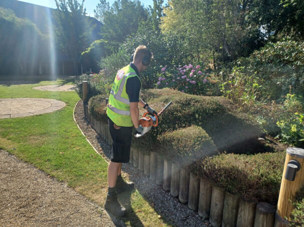 Hedge cutting