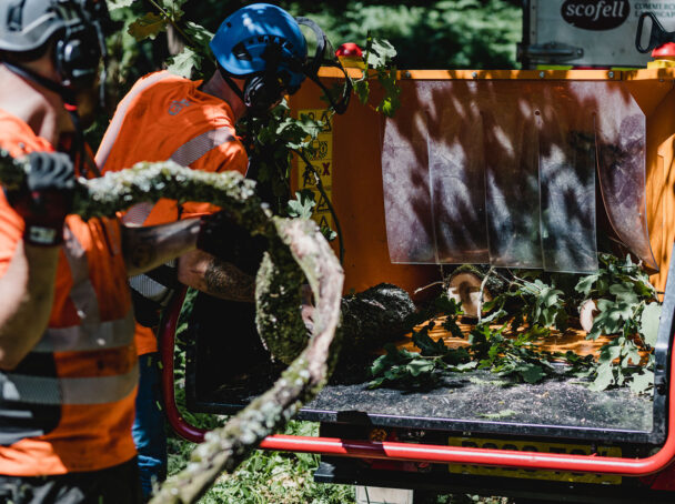 Clearing branches using wood chipper