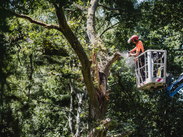 Working from Mobile Elevated Work Platform (MEWP)