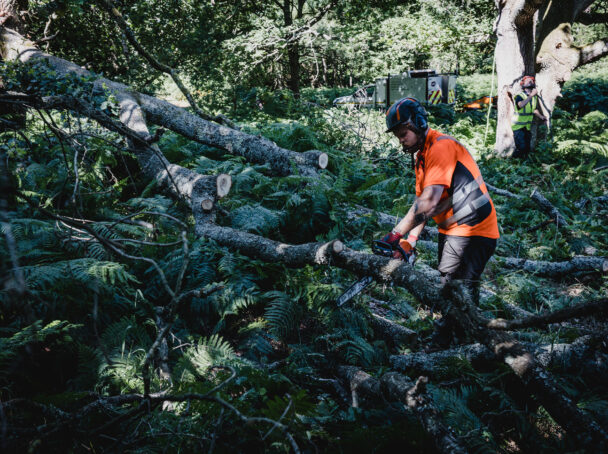 Cross cutting of logs