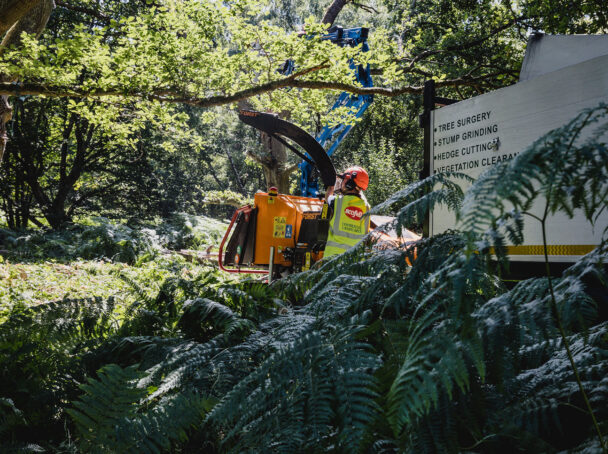 Arb team using MEWP, Chipper and tipping truck