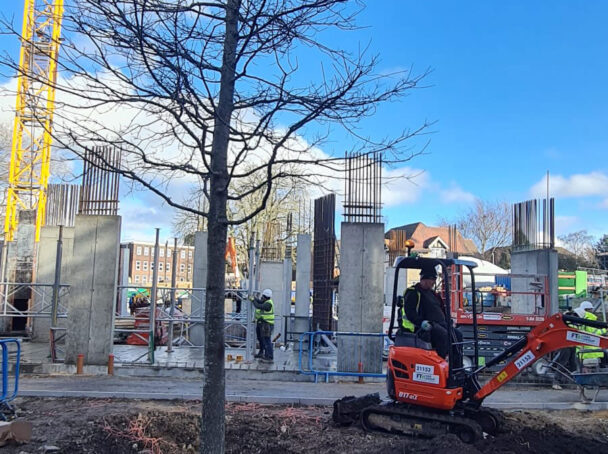 Excavating to create large tree pits prior to tree planting