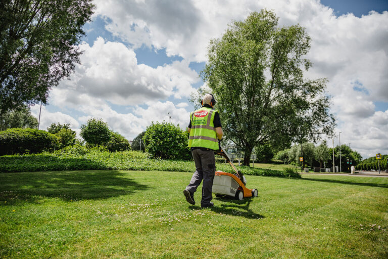 Lawn mowing