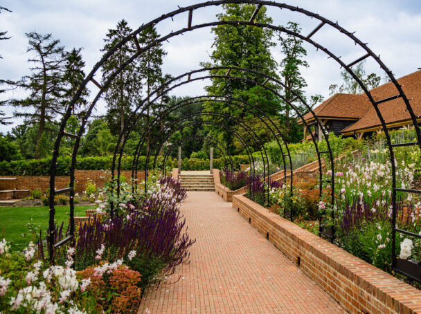 Landscaped garden