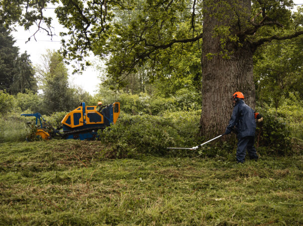 Clearing area of vegetation to then be turned into wildflower meadow