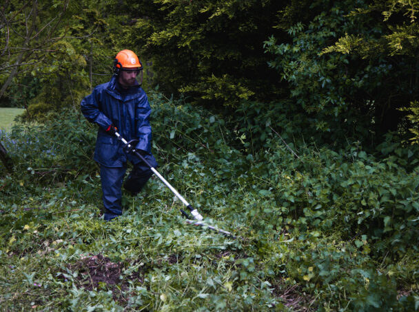 Strimming through thick vegetation