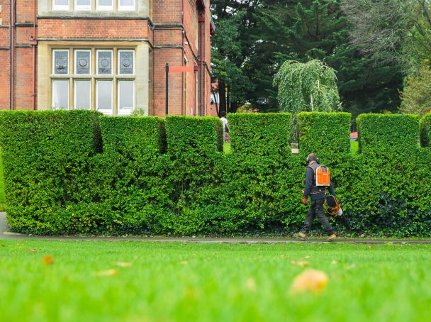 Immaculately maintained school grounds are one of our specialities