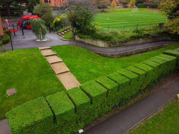 Complex hedge trimming can create a nice feature